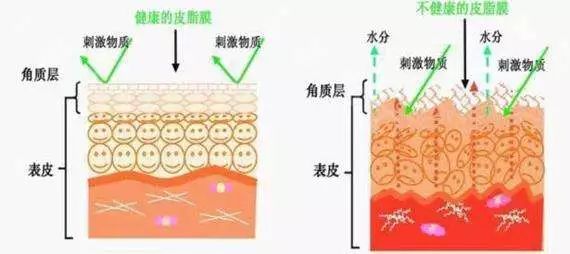 微信图片_20190816125443.jpg