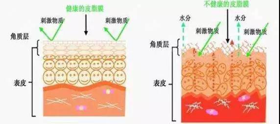 微信图片_20190925092351.jpg