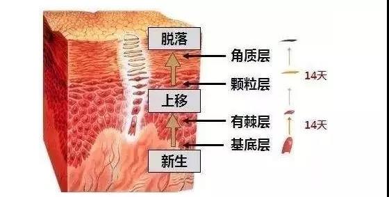 微信图片_20190928094606.jpg