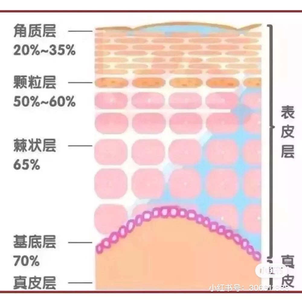 微信图片_20200611144503.jpg