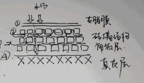 686d8f72b7eb9fdf9c4694df34fb5dc.png