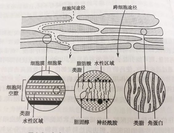 2c4b7ab663549e0c470e4d87c8d829c.png