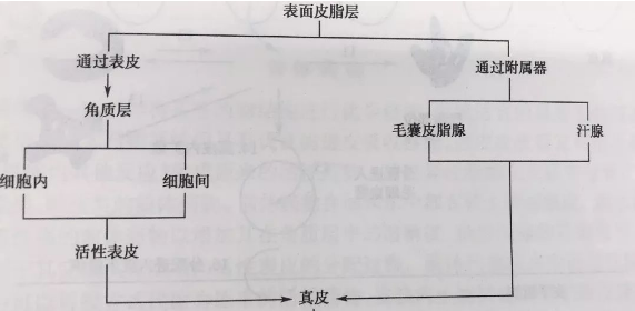 78d9dc7c451f8dacd1b225c29a38105.png