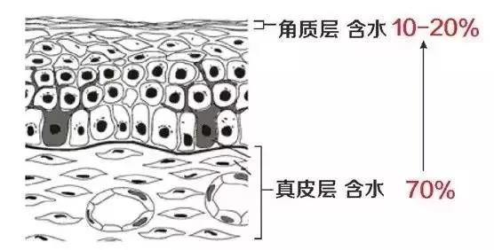 微信图片_20210306162218.jpg