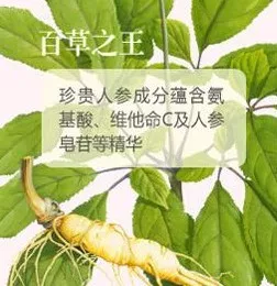 105590efd4ff0bb69103728463ec50d.png