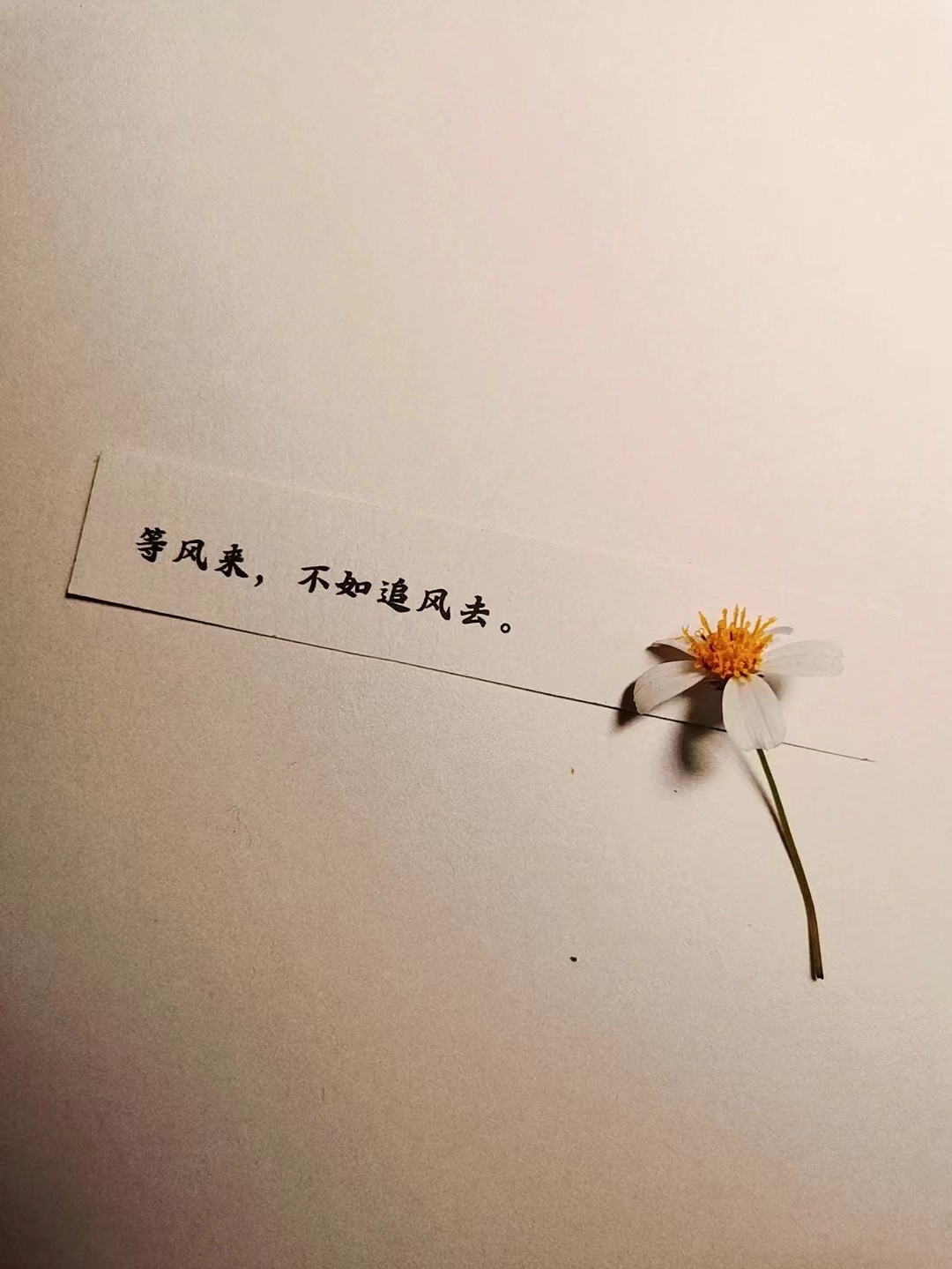fe5a887f45a74088e3e2d4eedbe5394.jpg
