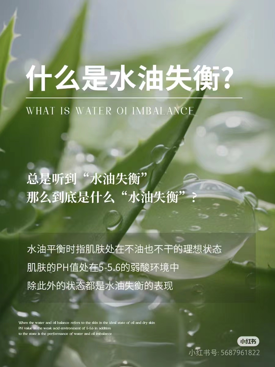 微信图片_20240725155850.jpg