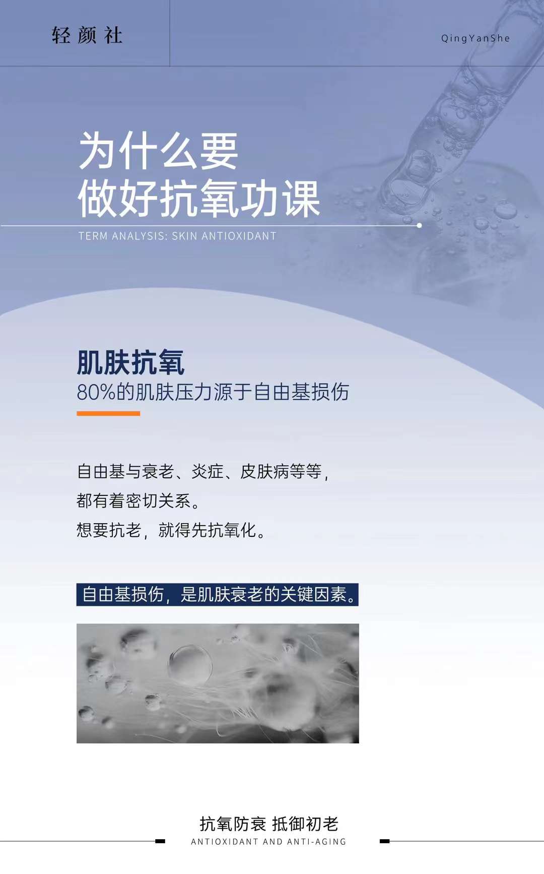 cc98f573c55f8a24b87e56e23a8d6735_5f5d838293.jpg